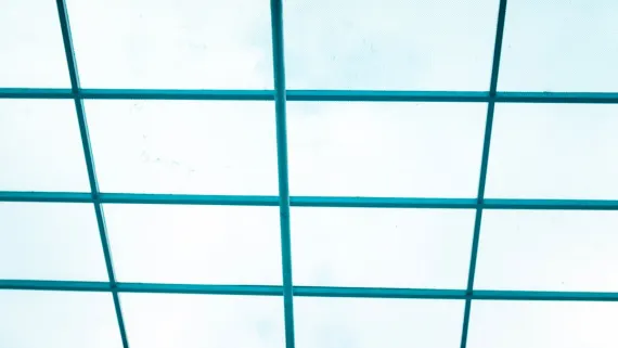 FruityVegas Kazino Pagalba